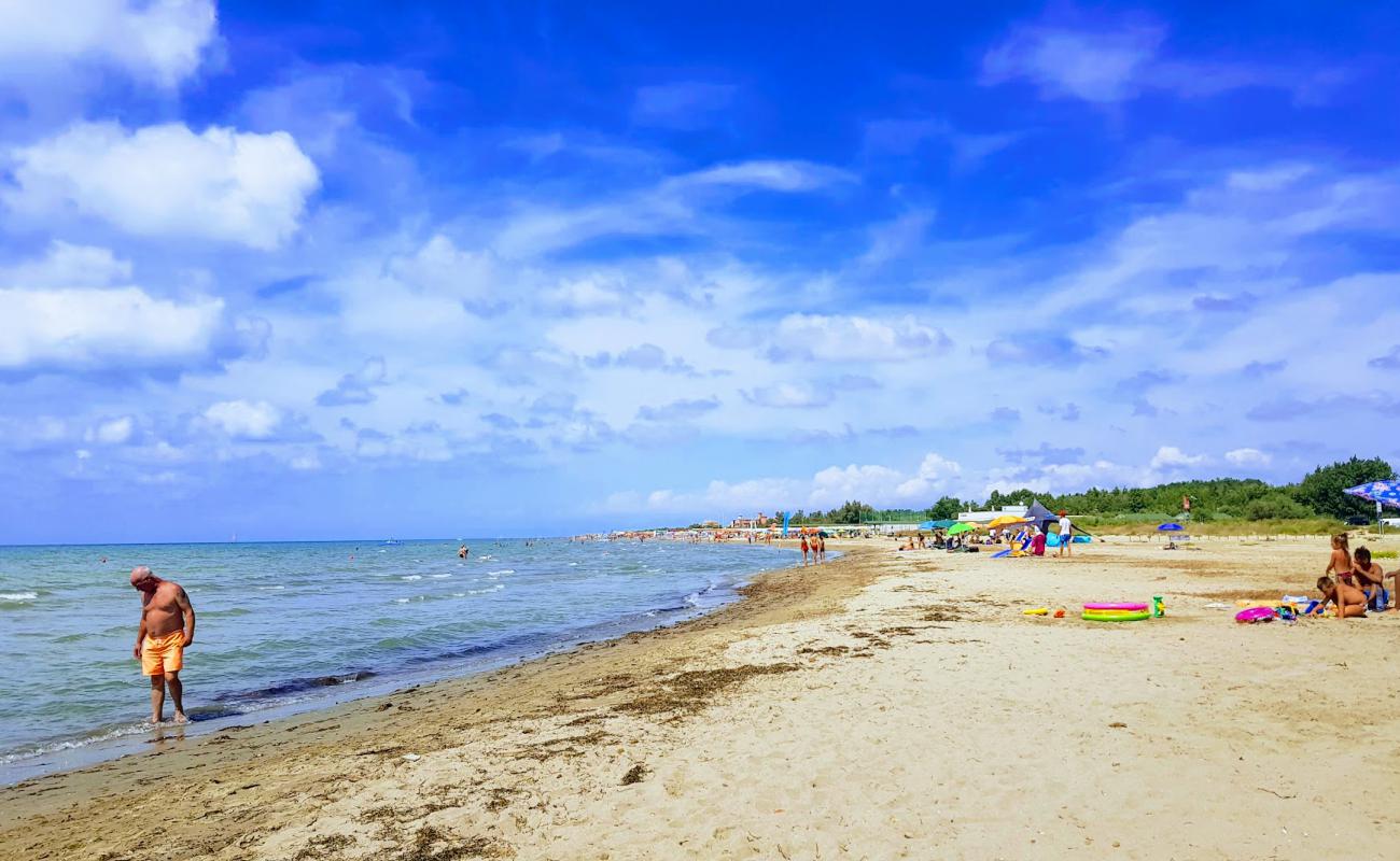 Photo de Calambrone dog beach avec sable lumineux de surface