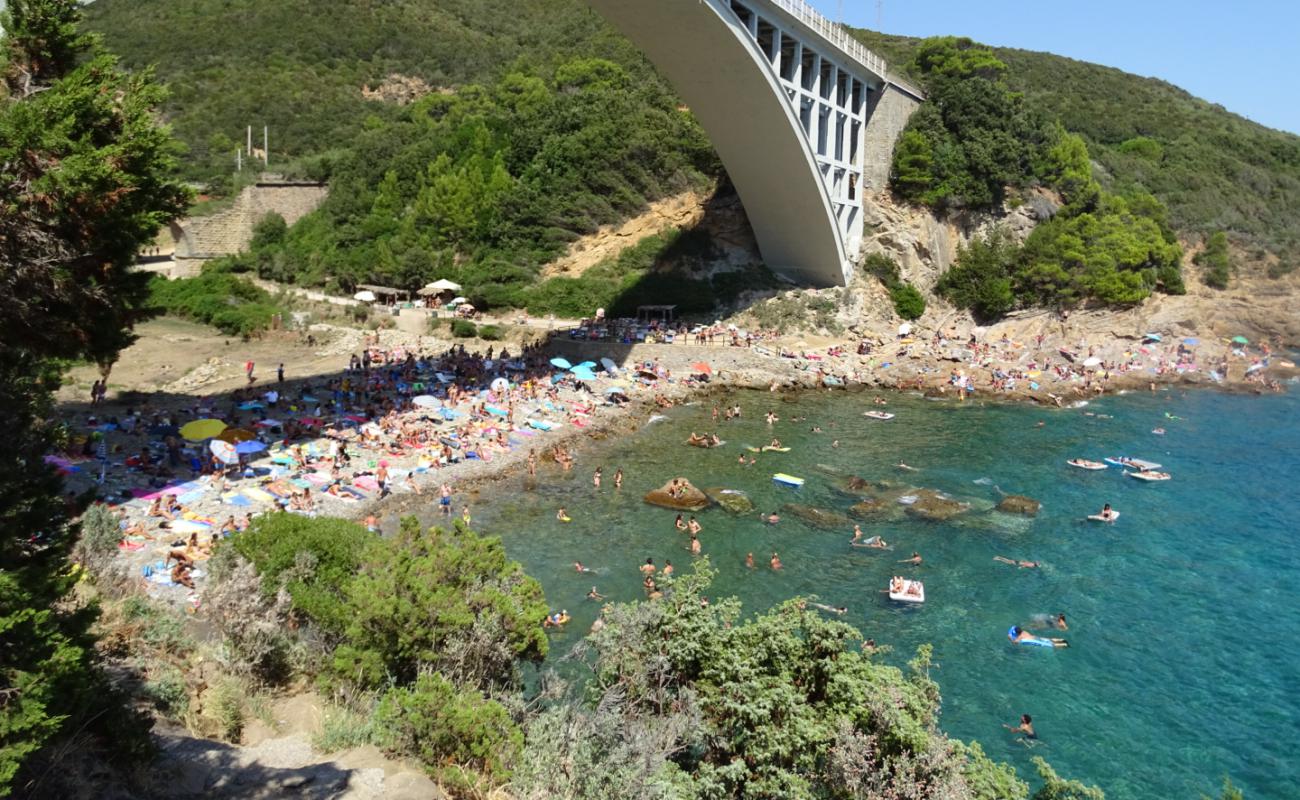 Photo de Calignaia beach avec caillou gris de surface