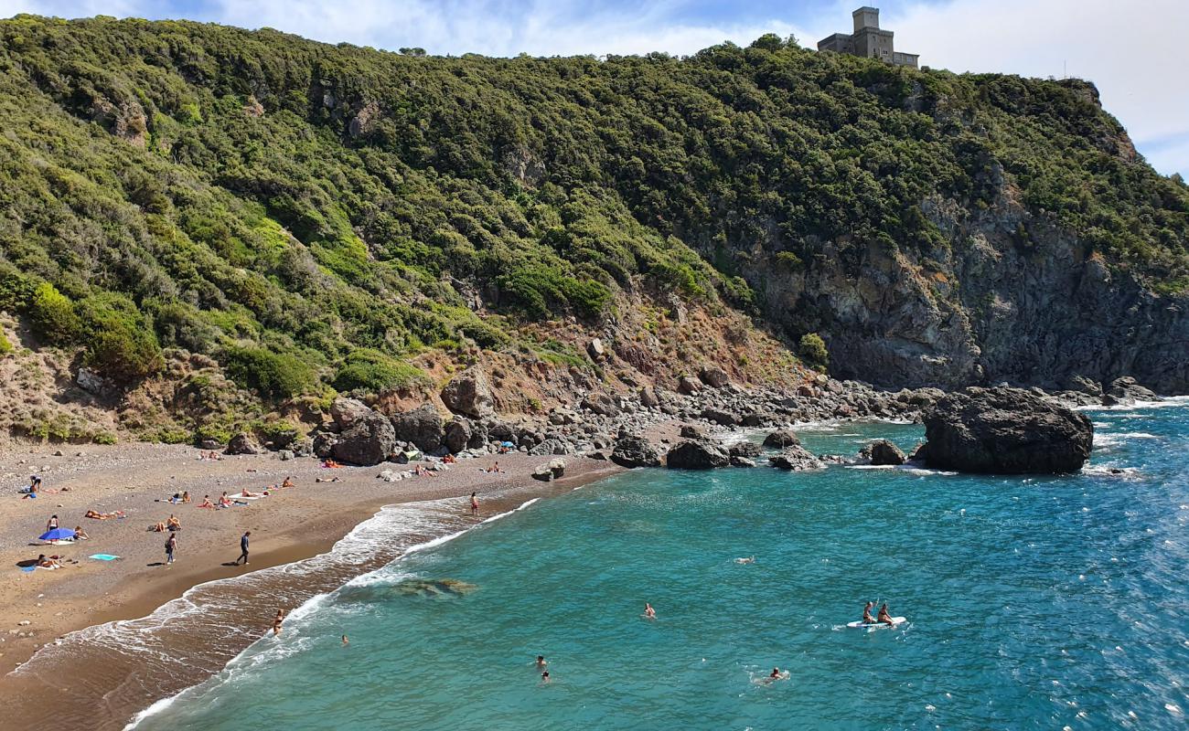 Photo de Cala del Leone avec caillou fin gris de surface