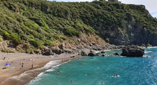 Cala del Leone