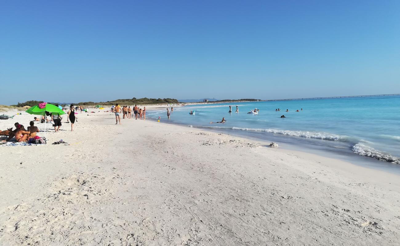 Photo de Rosignano Solvay spiaggia bianche avec sable fin et lumineux de surface