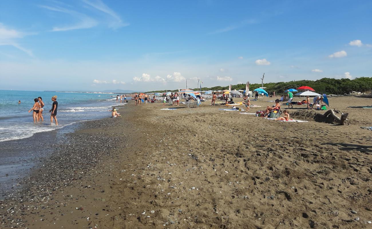 Photo de Spiaggia di Marina di Bibbona avec sable brun de surface