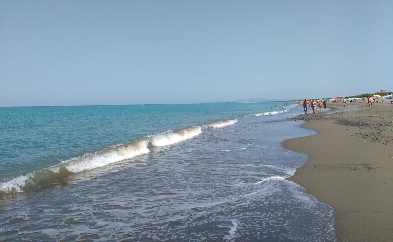 Photo de Marina di Bibbona II avec sable brun de surface