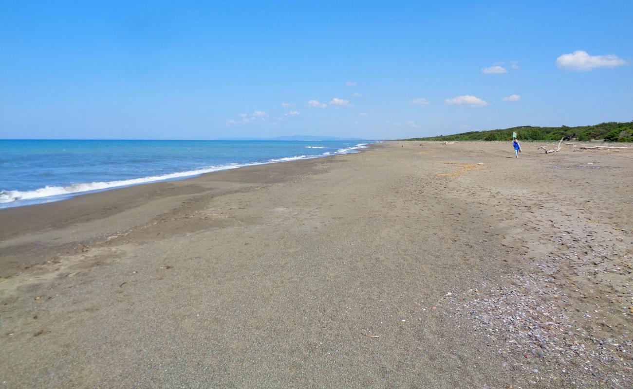 Photo de Palone beach avec sable brun de surface