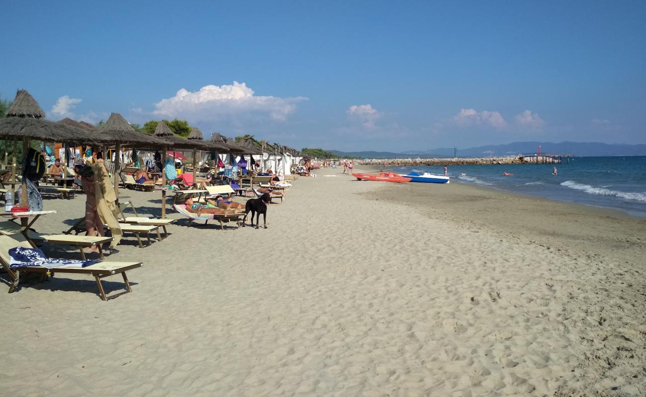 Photo de Carbonifera dog beach avec sable brun de surface