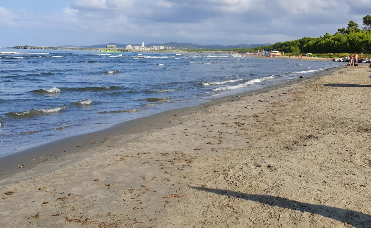 Photo de Puntone di Scarlino avec sable brun de surface