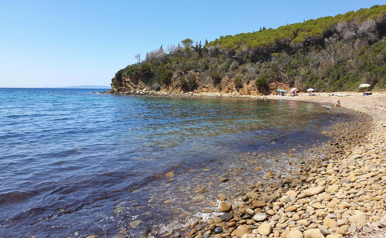 Photo de Cala Martina avec roches de surface