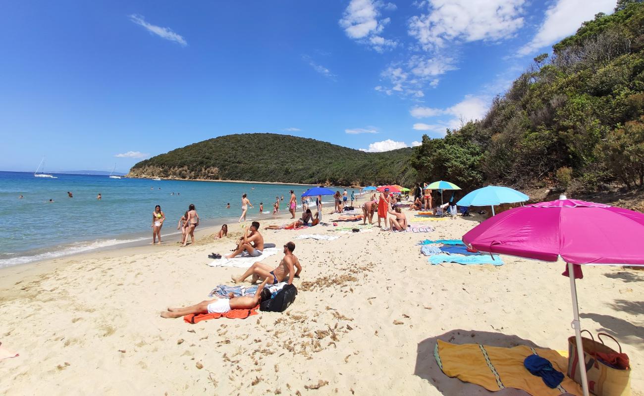 Photo de Cala Violina avec sable brun de surface