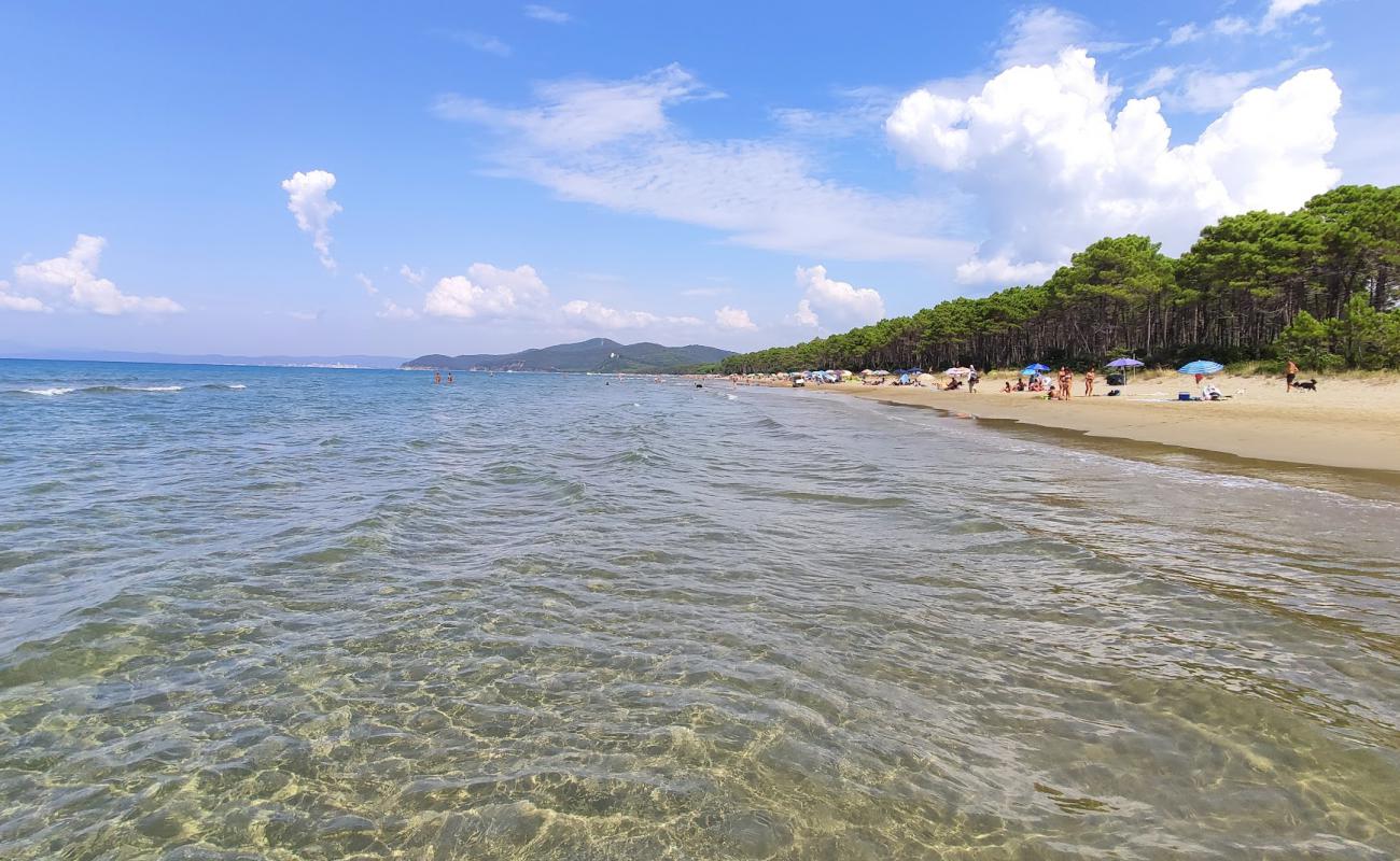 Photo de Punta Ala beach avec sable brun de surface