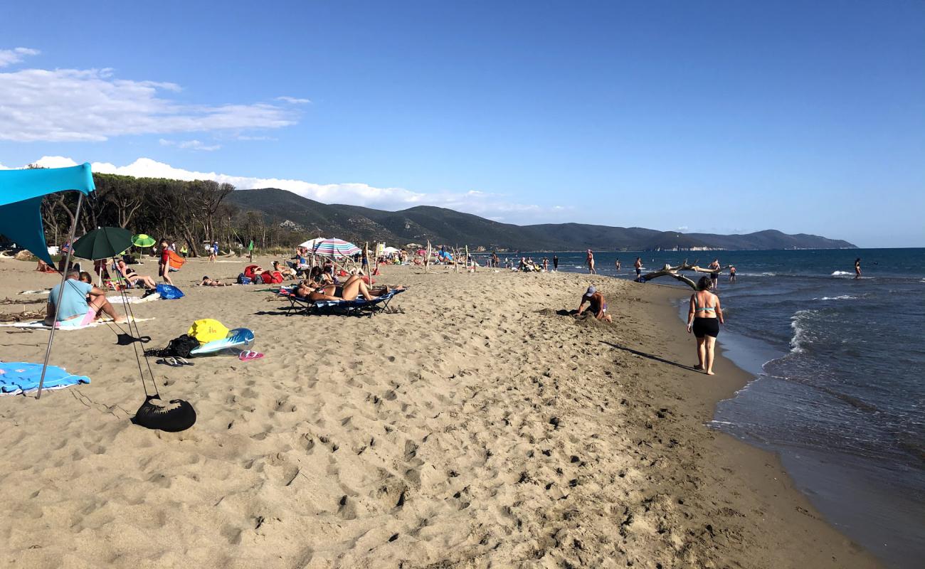 Photo de Spiaggia di Marina di Alberese avec sable brun de surface