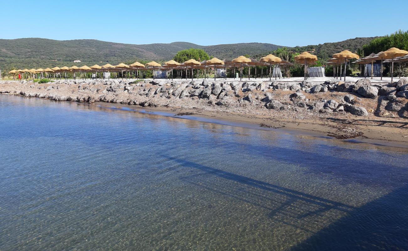 Photo de Spiaggia Molo di Talamone avec sable brun & rochers de surface