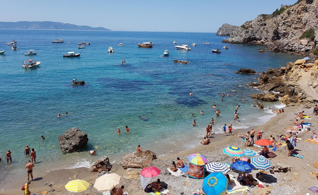 Photo de Cala del Gesso avec caillou brun de surface