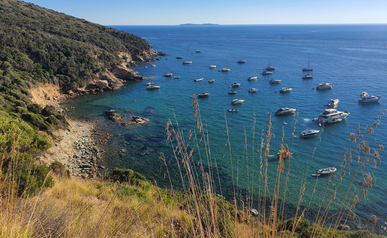 Photo de Cala Purgatorio avec roches de surface