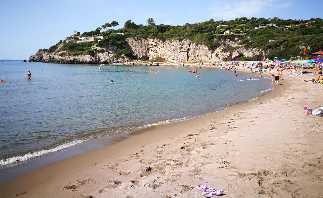 Photo de Ansedonia beach avec sable brun de surface