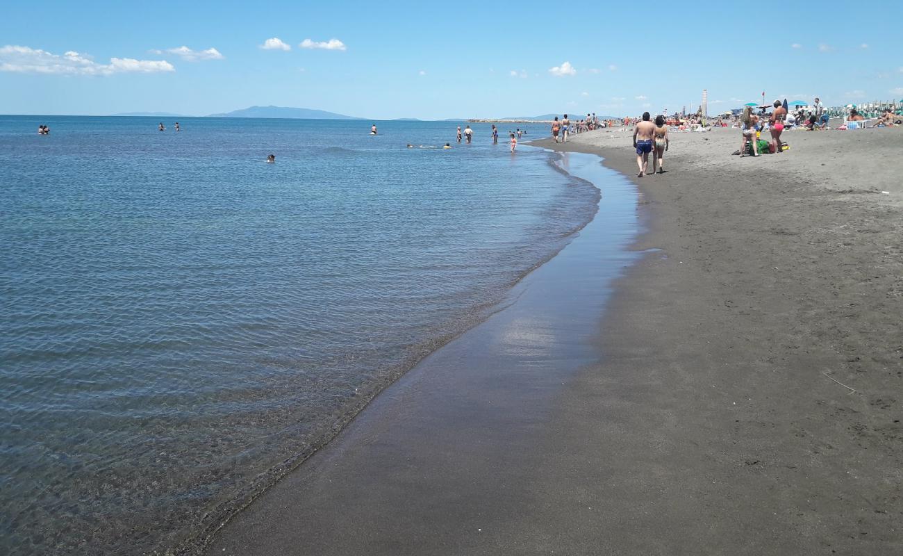 Photo de Spiaggia di Montalto di Castro avec sable brun de surface