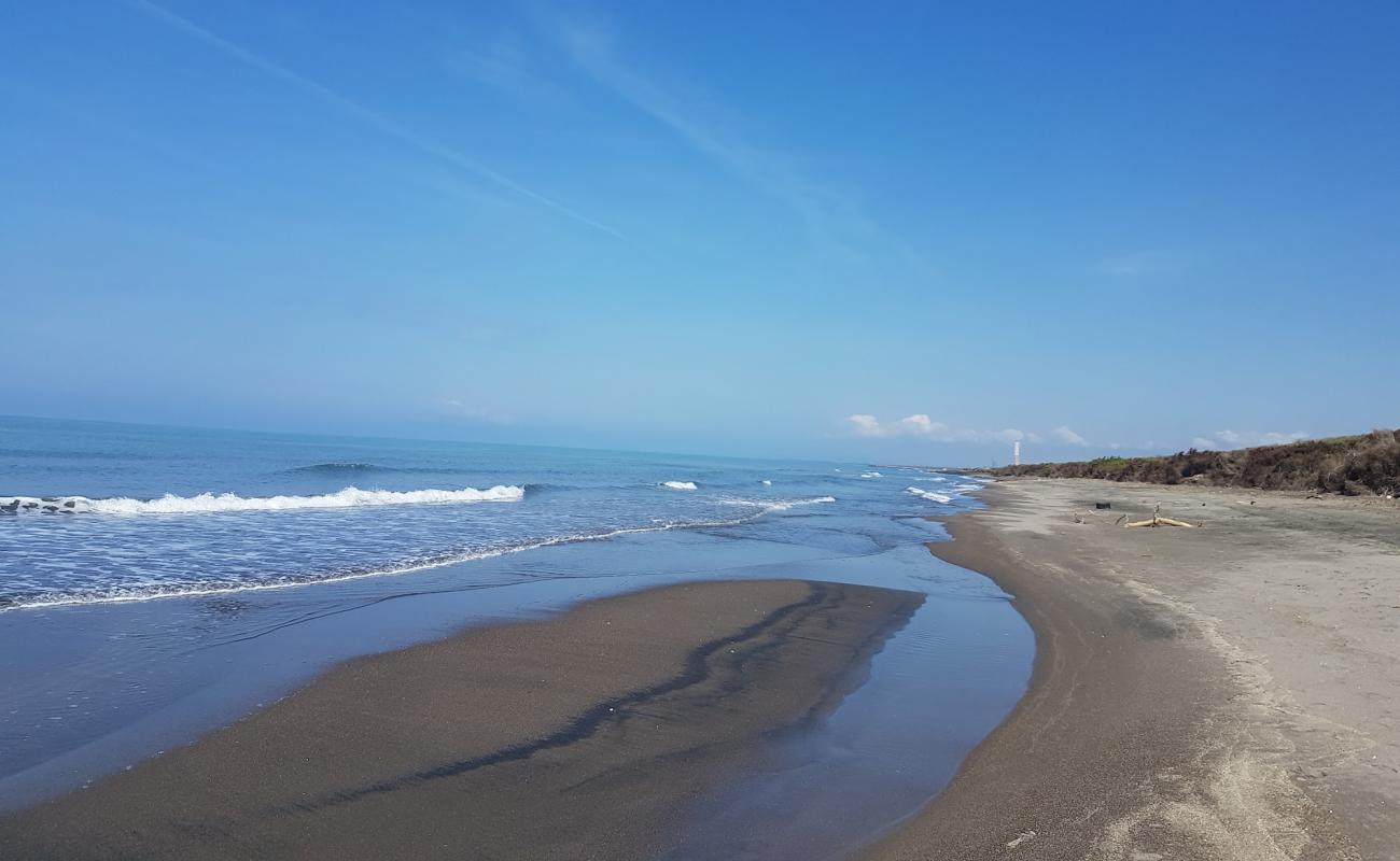 Photo de Montalto Marina beach II avec sable brun de surface