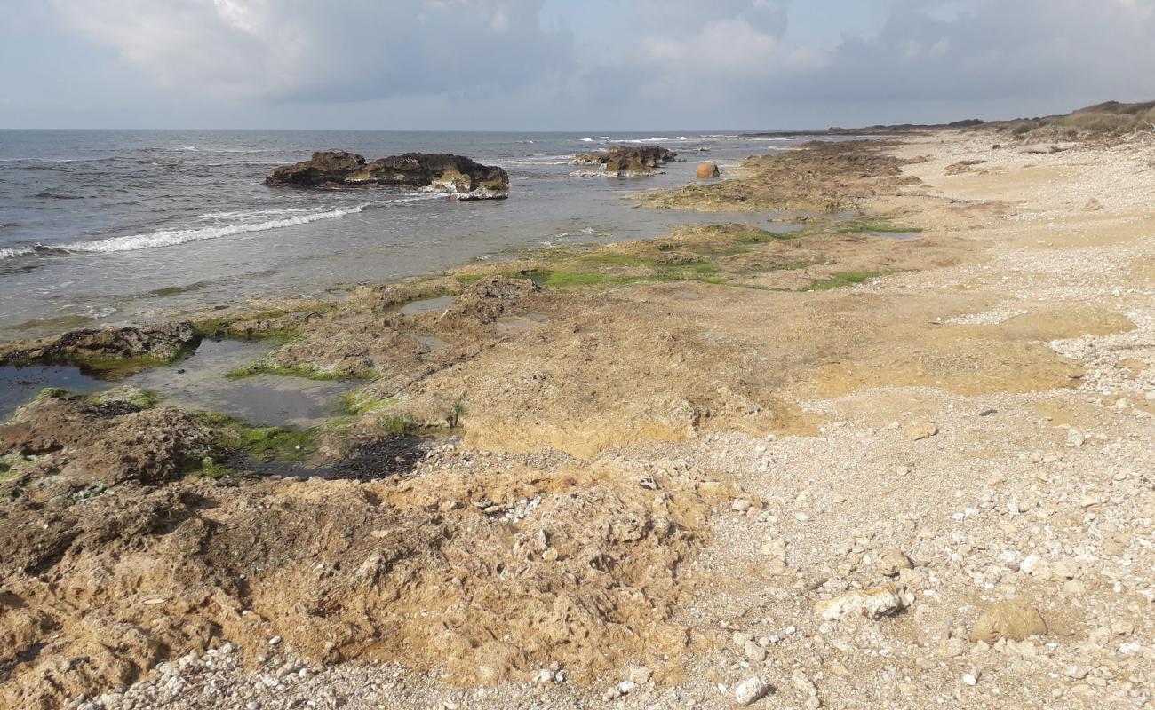 Photo de Spiaggia Valdaliga avec roches de surface