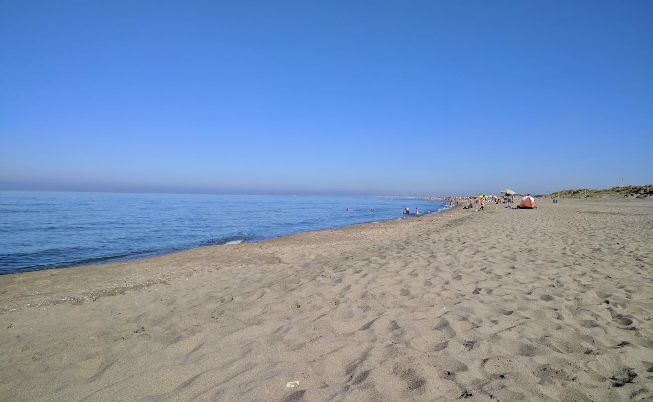 Photo de Castel Porziano beach avec sable brun de surface