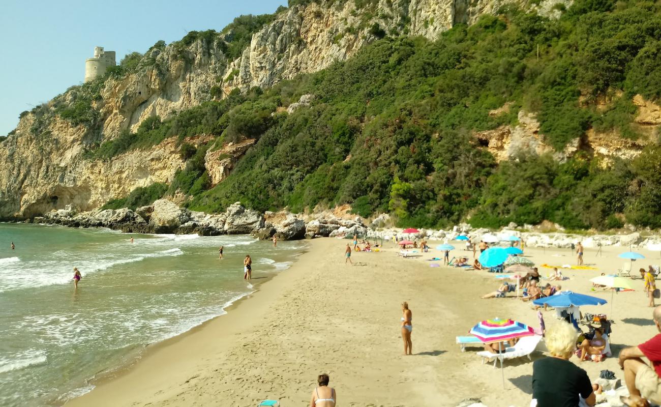 Photo de Porto di San Felice avec sable fin brun de surface