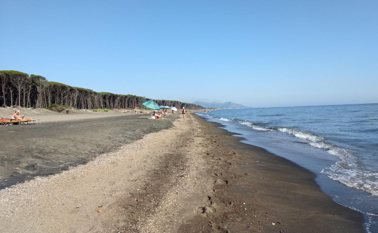 Photo de Camping La Foce beach avec sable brun de surface