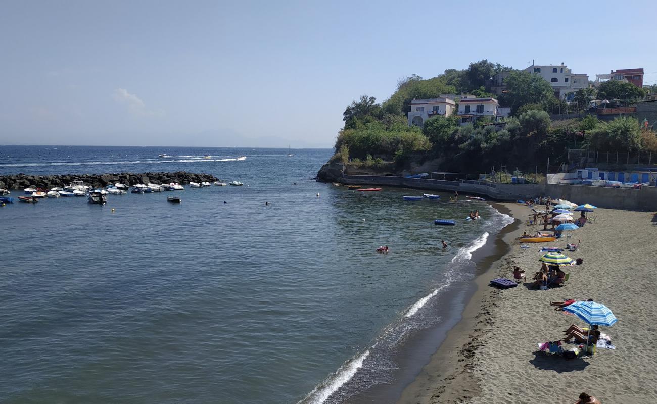 Photo de Poggio Beach avec sable brun de surface