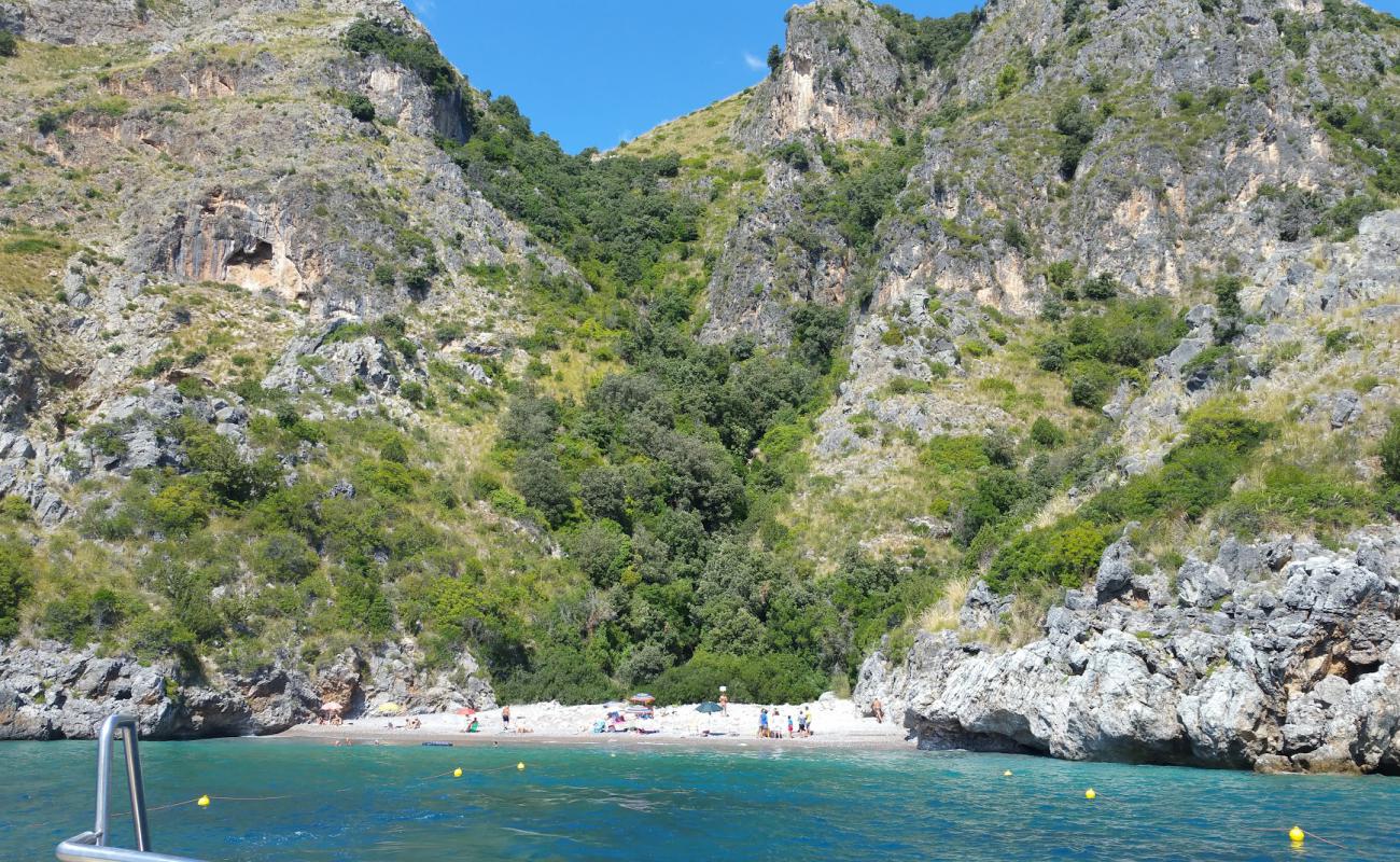 Photo de Spiaggia di Cala dei Morti avec caillou fin brun de surface