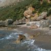 Scario wild beach II