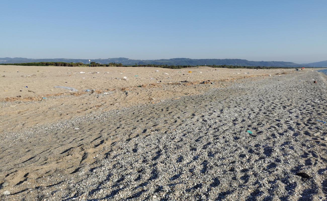 Photo de Maida Marina beach avec sable gris de surface