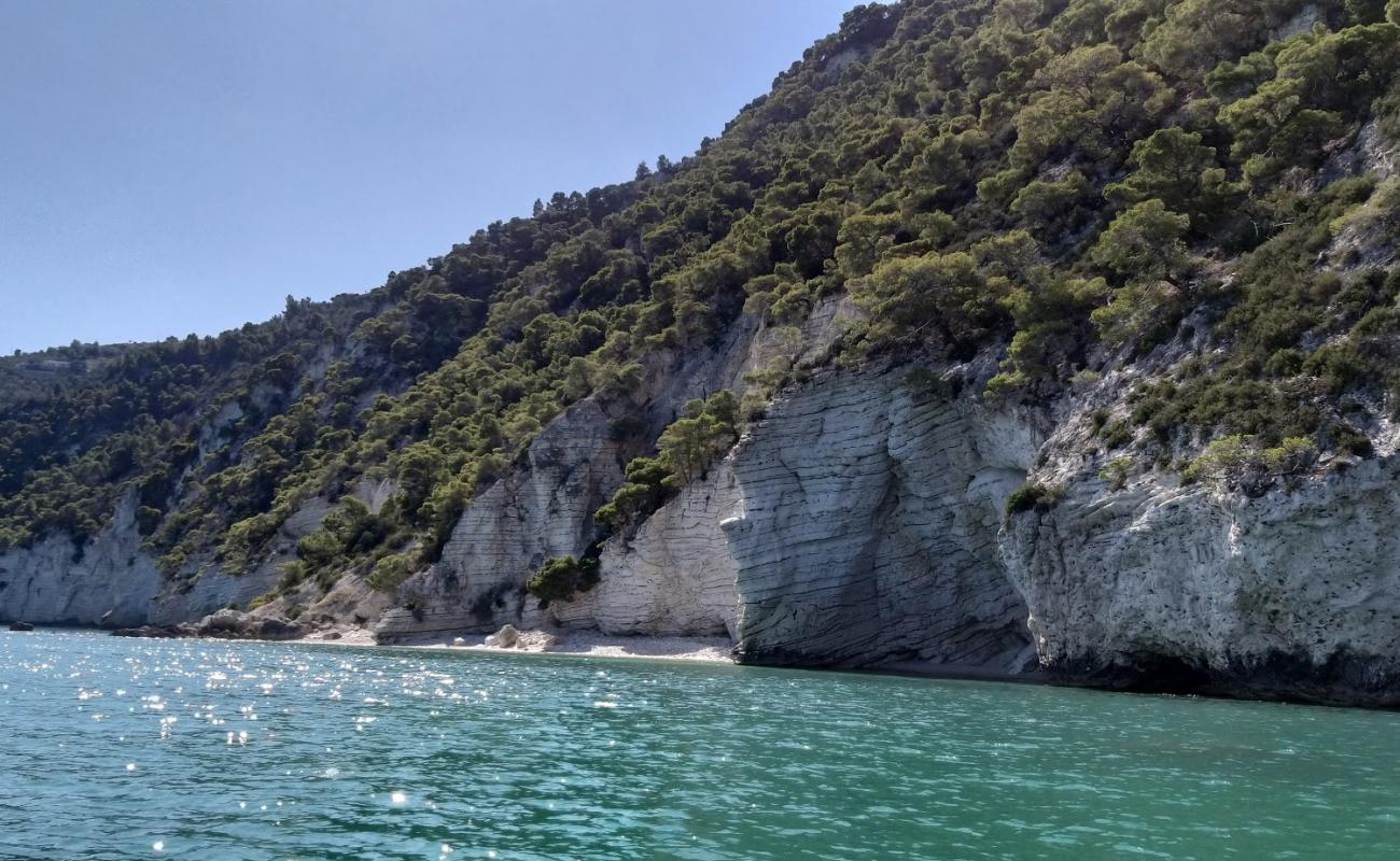 Photo de Baia delle Pietre Nere avec petits galets beige de surface