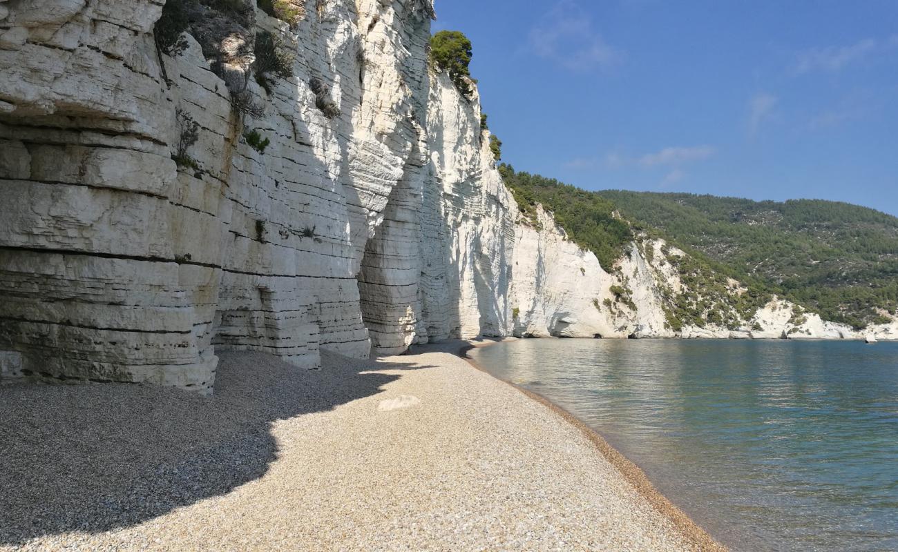 Photo de Cala della Cattedrale avec sable beige de surface