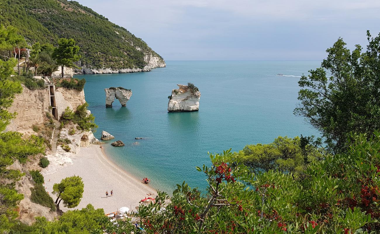 Photo de Plage de Baia dei Mergoli avec caillou fin clair de surface