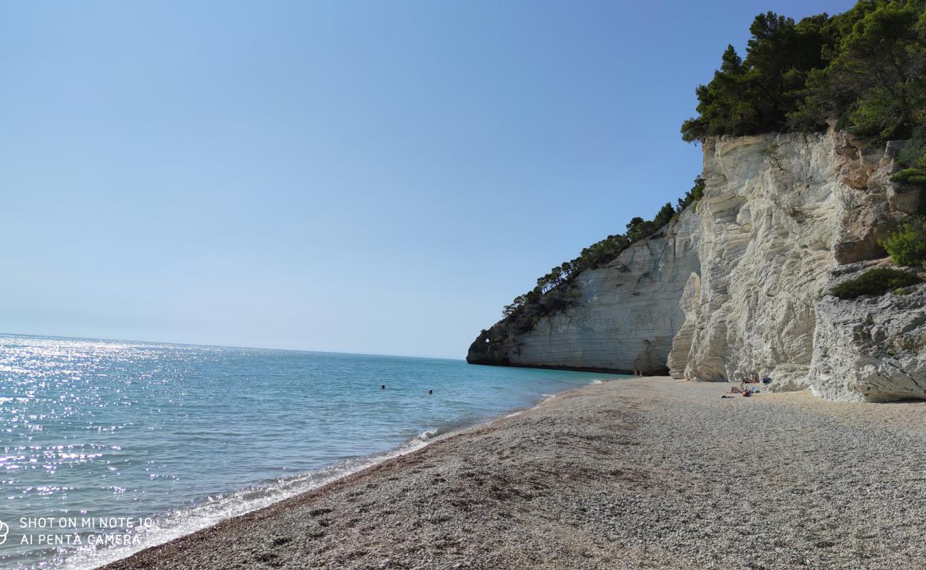 Photo de Plage de Vignanotica avec caillou fin clair de surface