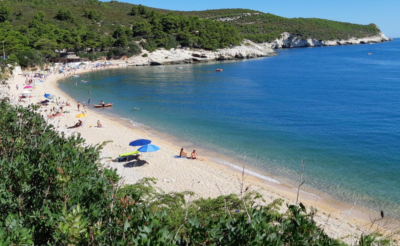 Photo de Baia di Campi avec galets beige de surface