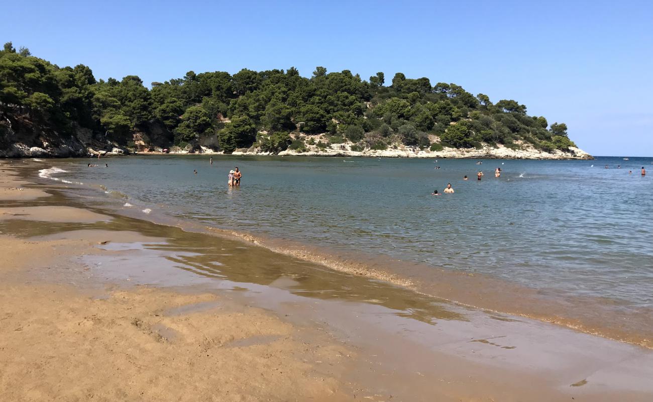 Photo de San Felice avec sable brun de surface