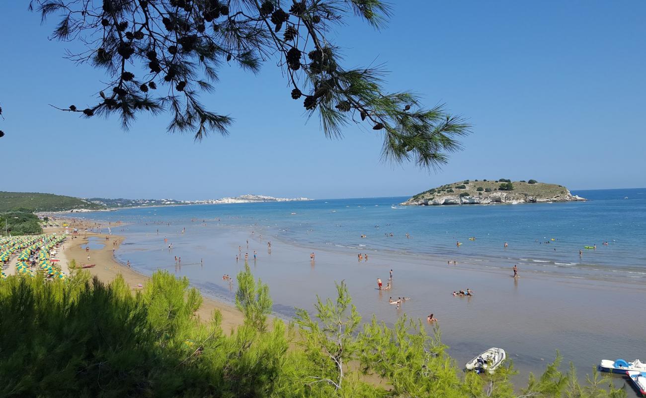 Photo de Spiaggia di Portonuovo avec sable brun de surface