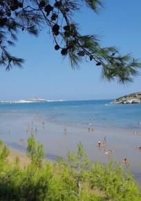 Province de Foggia