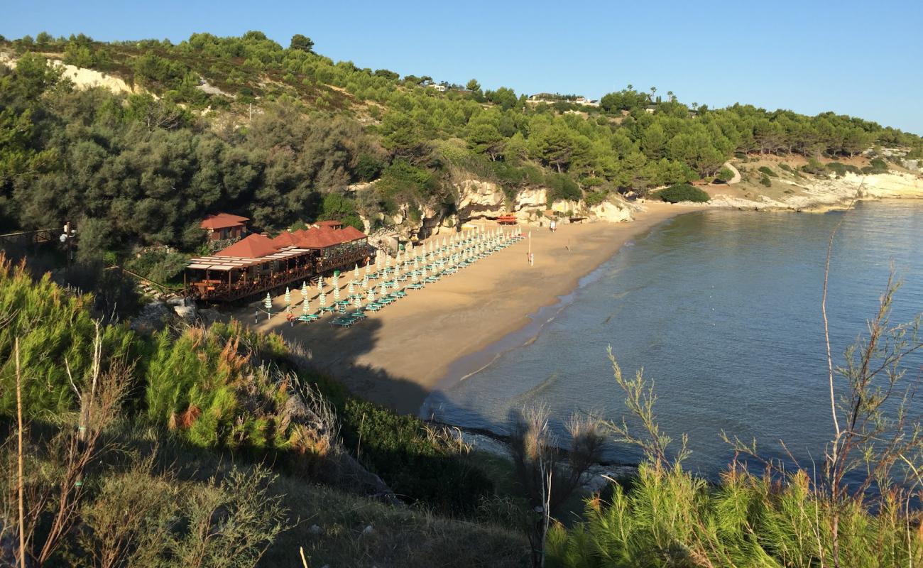 Photo de Spiaggia di dietro San Lorenzo avec sable beige de surface