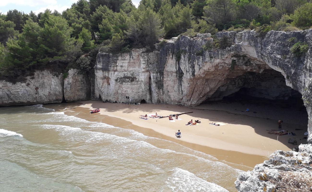 Photo de Spiaggia dei Colombi avec sable brun de surface