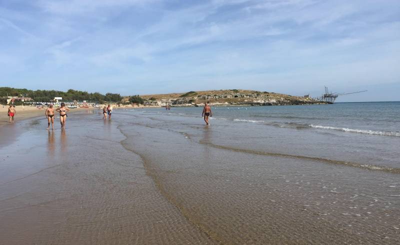 Photo de Spiaggia di Molinella avec sable beige fin de surface