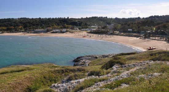 Spiaggia di Molinella