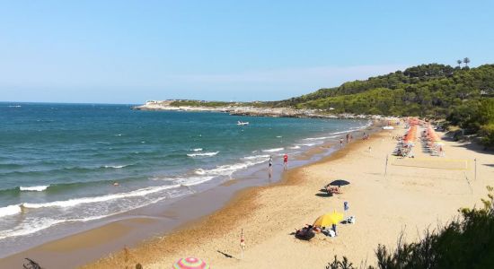 Spiaggia di Crovatico