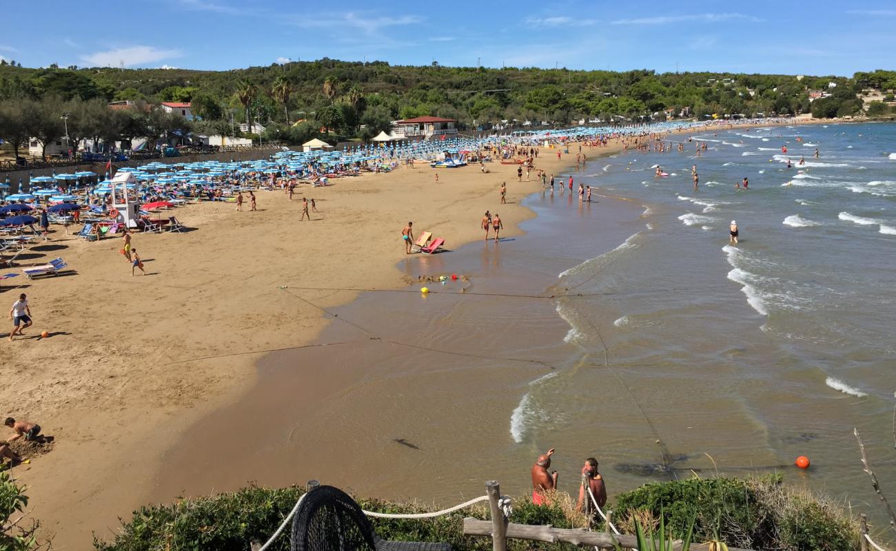 Photo de Spiaggia di Bescile avec sable beige fin de surface
