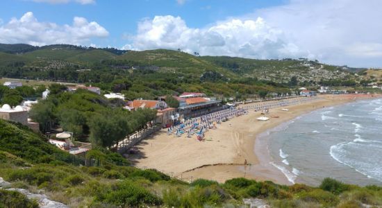 Spiaggia di Manaccora