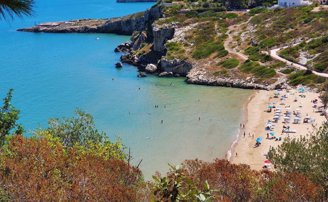 Photo de Spiaggia di Procinisco avec sable fin brun de surface