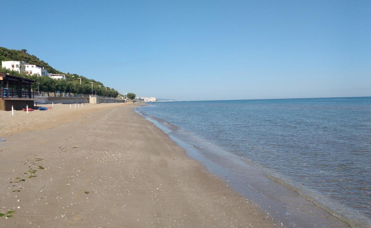 Photo de Spiaggia di San Menaio avec sable fin marron de surface