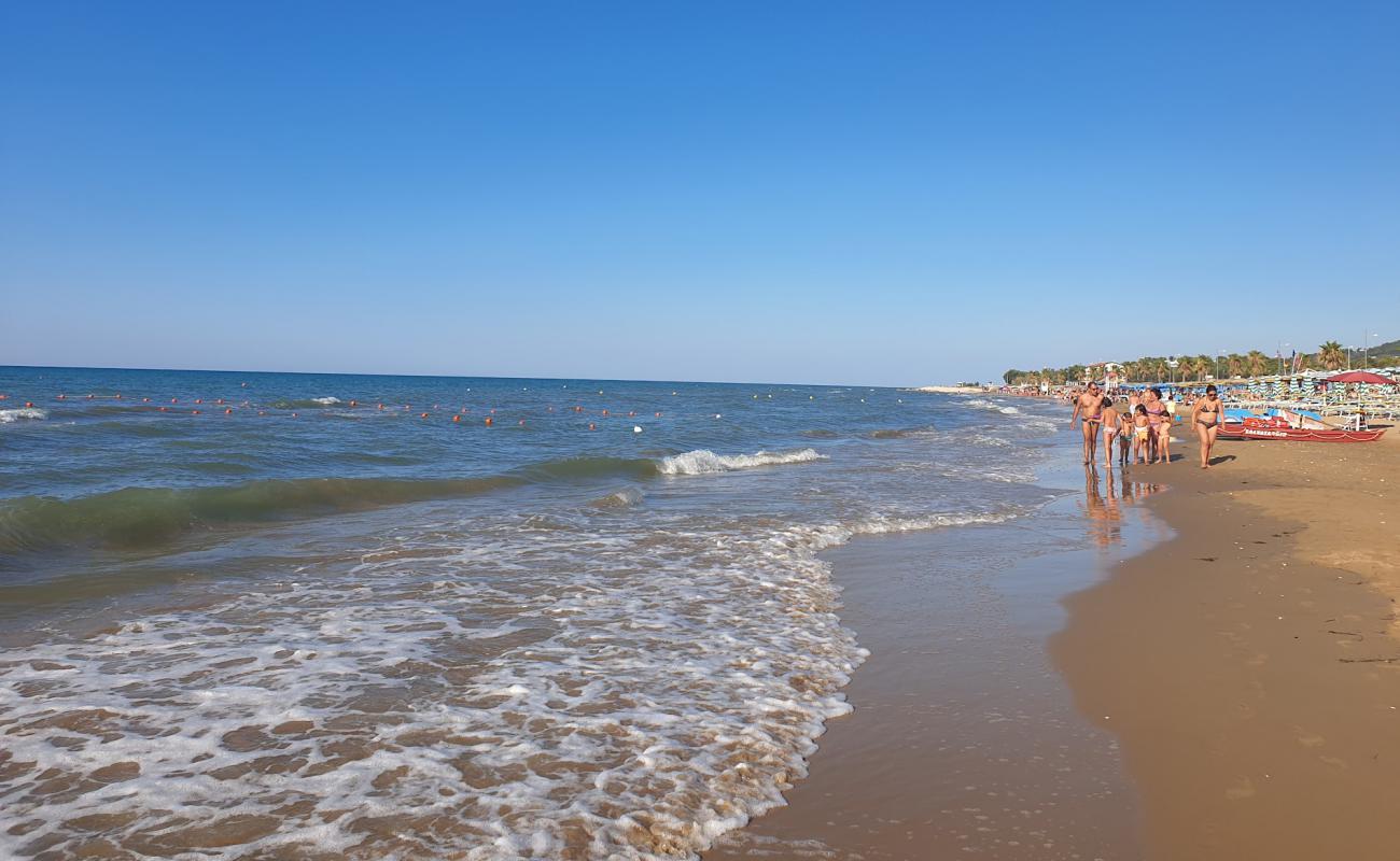 Photo de Spiaggia di Lido del Sole avec sable beige de surface