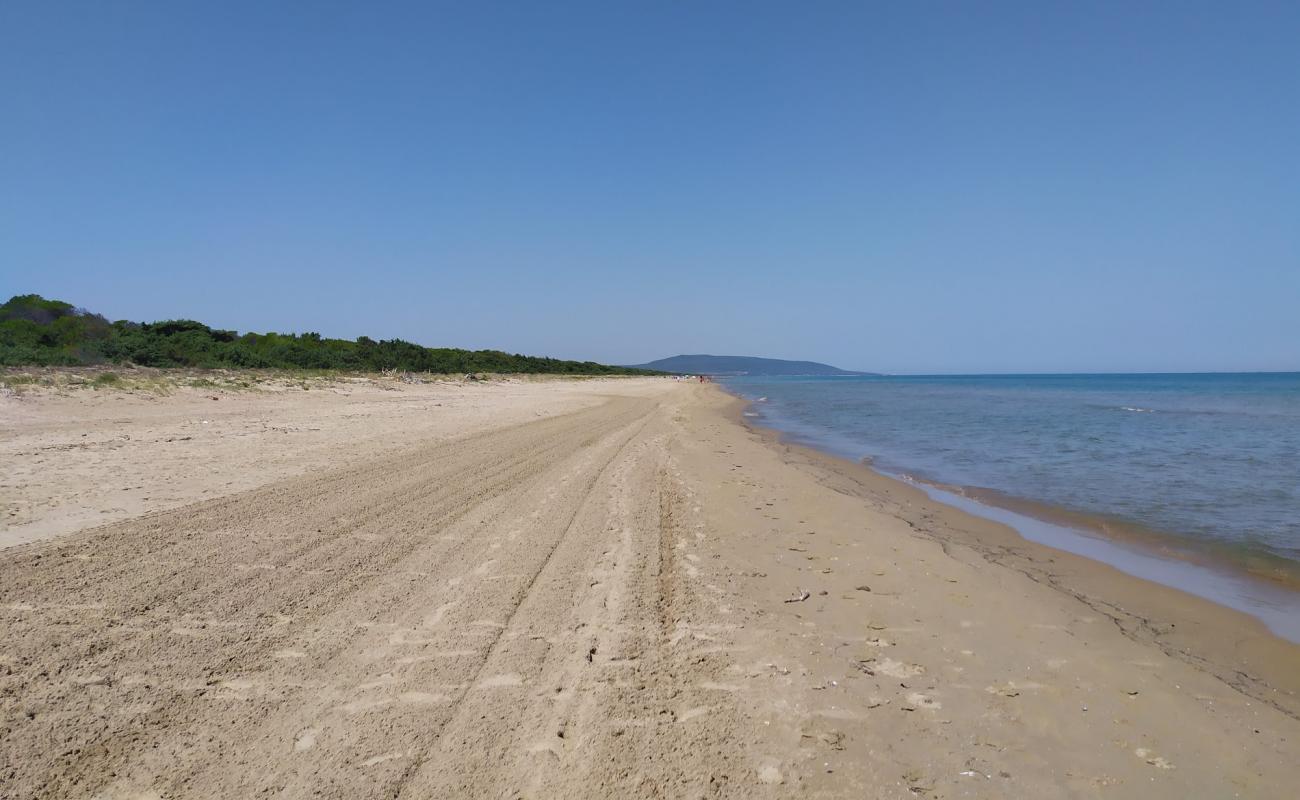 Photo de Spiaggia Isola di Varano avec sable brun de surface