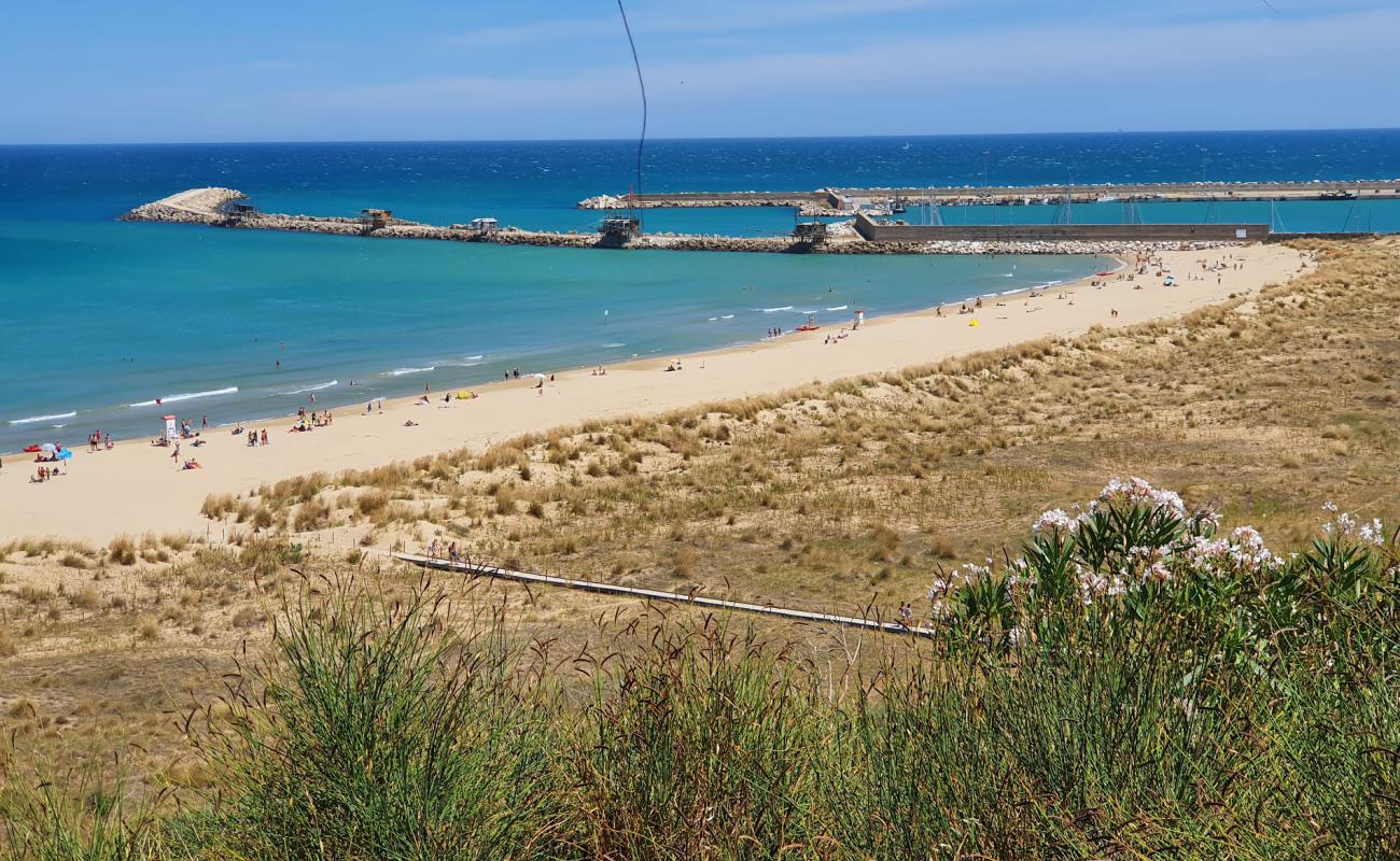 Photo de Spiaggia di Punta Penna avec sable fin brun de surface