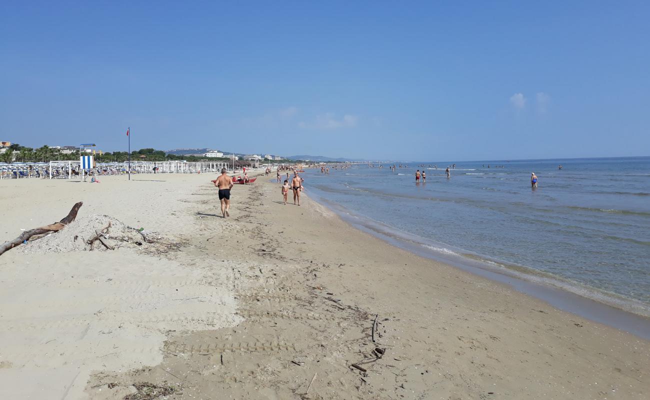 Photo de Mamaia Beach avec sable beige de surface