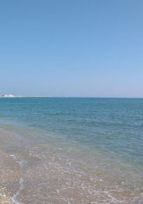 Province de Fermo
